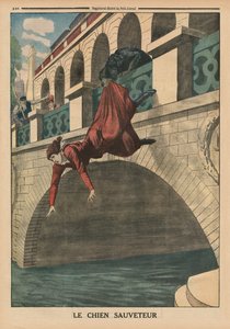 Un cane da salvataggio, illustrazione di copertina di 